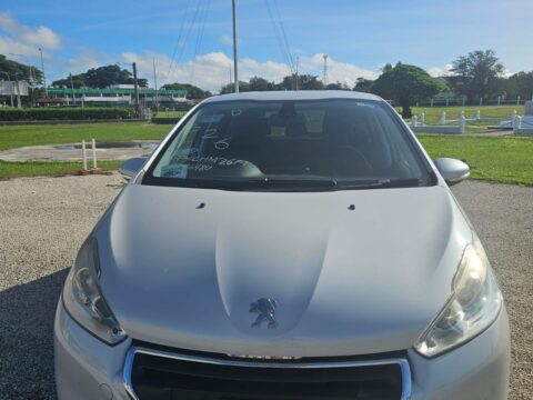 Peugeot silver
